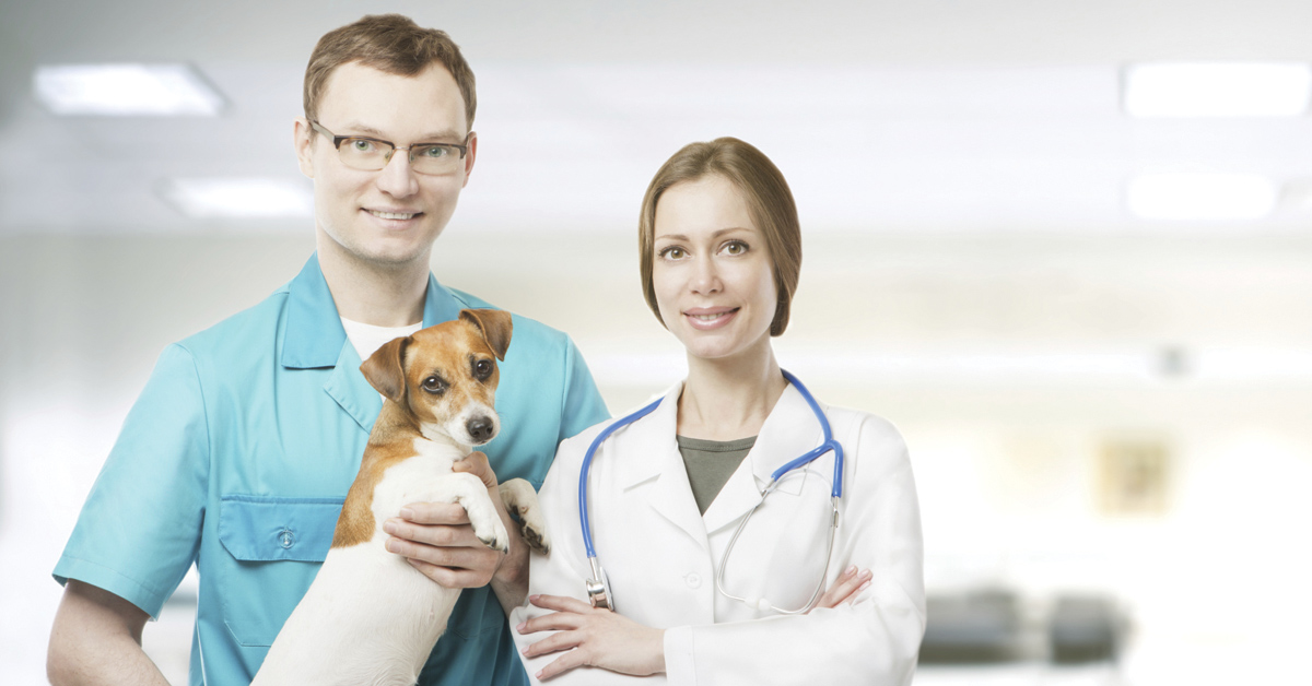 Veterinary Assistant Webster, Honeoye FallsNY68375 RochesterJobs